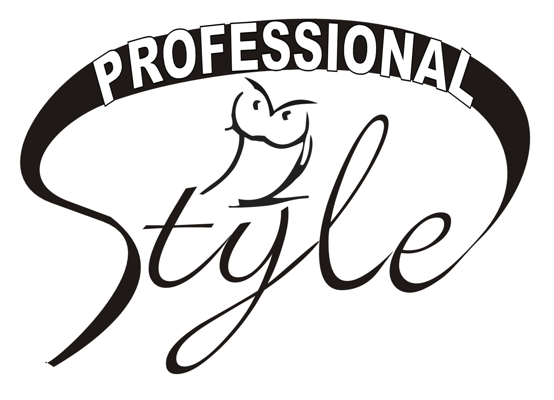 logo Professional Style